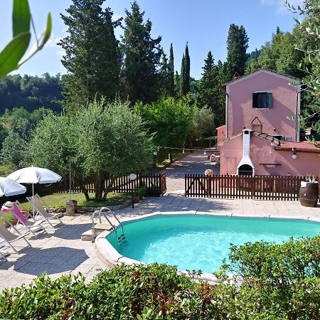 Podere Il Leccione ปาลายา ภายนอก รูปภาพ