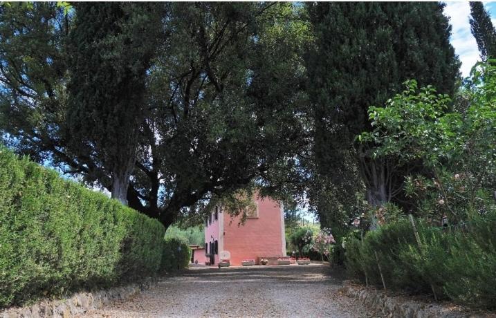Podere Il Leccione ปาลายา ภายนอก รูปภาพ