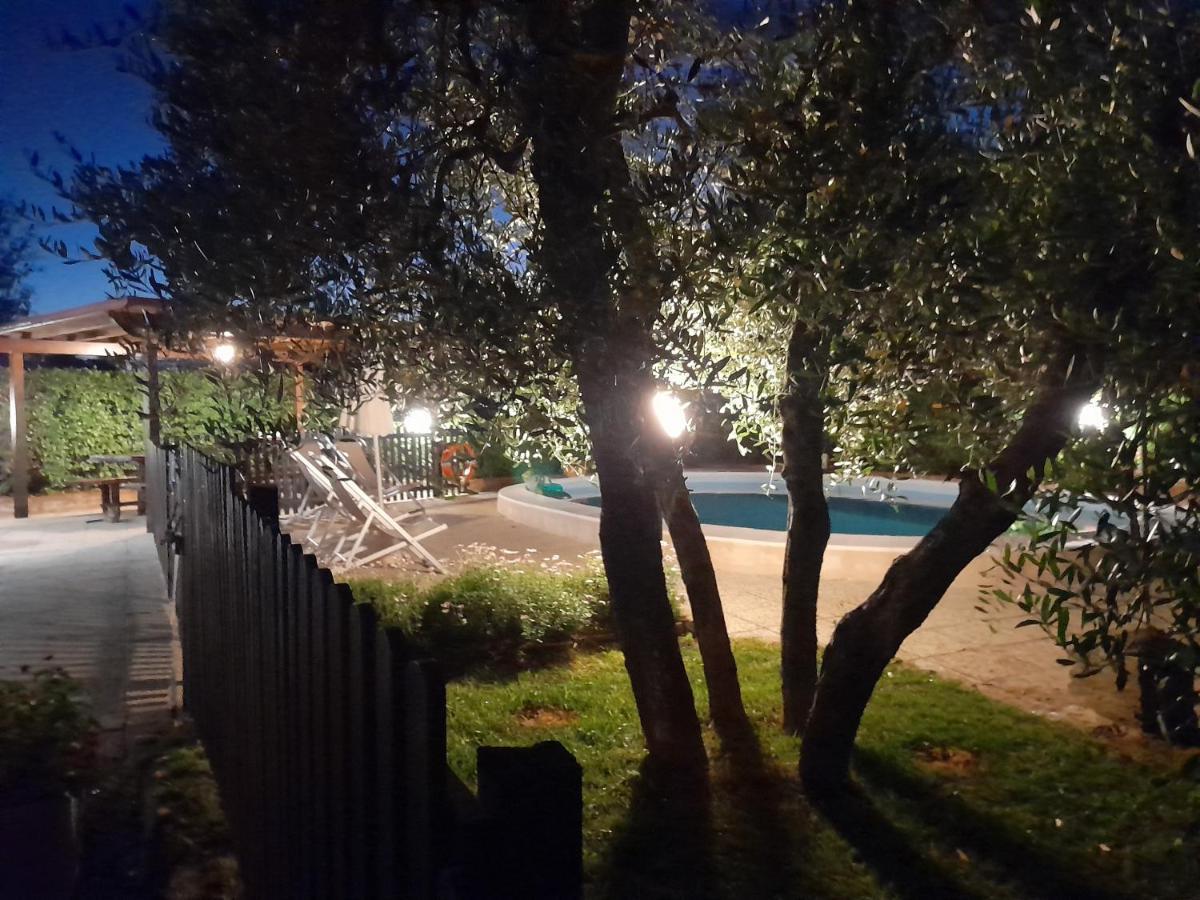 Podere Il Leccione ปาลายา ภายนอก รูปภาพ