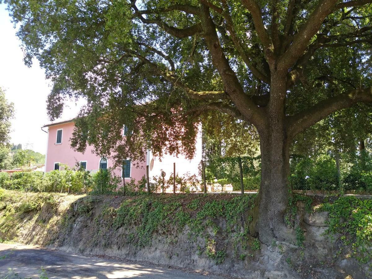 Podere Il Leccione ปาลายา ภายนอก รูปภาพ